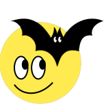 DayRadar sun and bat icon